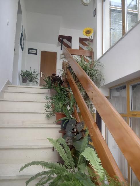 Apartmani Maretimo Primošten Exterior foto